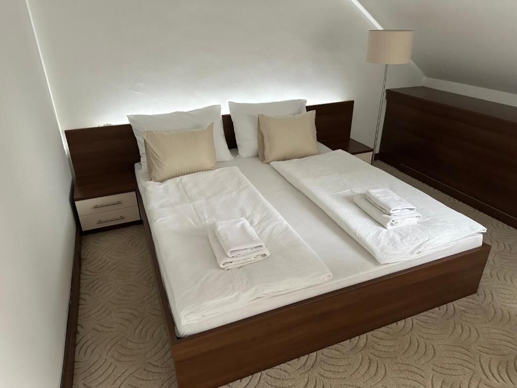 Double room with a large bed at Sobe Korzo, Sisak